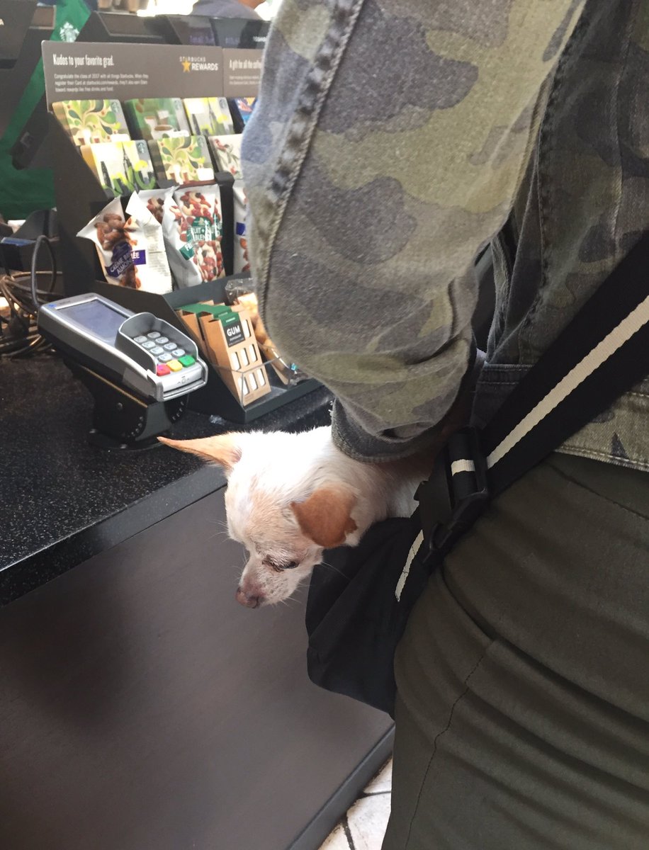 WubsNet's tweet photo. At @VictorStarbucks might be slow but look! https://t.co/Pz9CgLpOe6