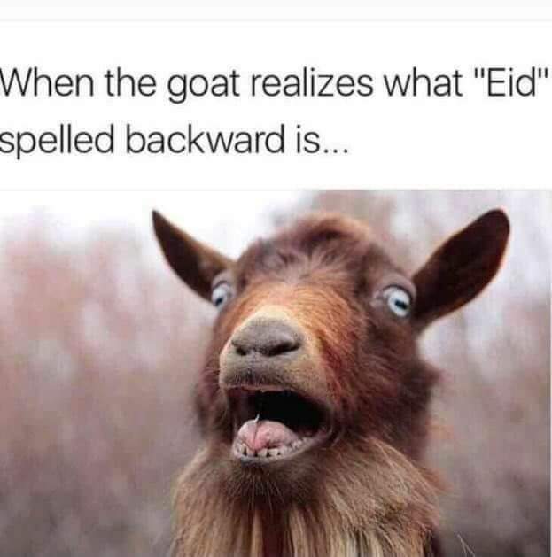 Eid = diE🤣
