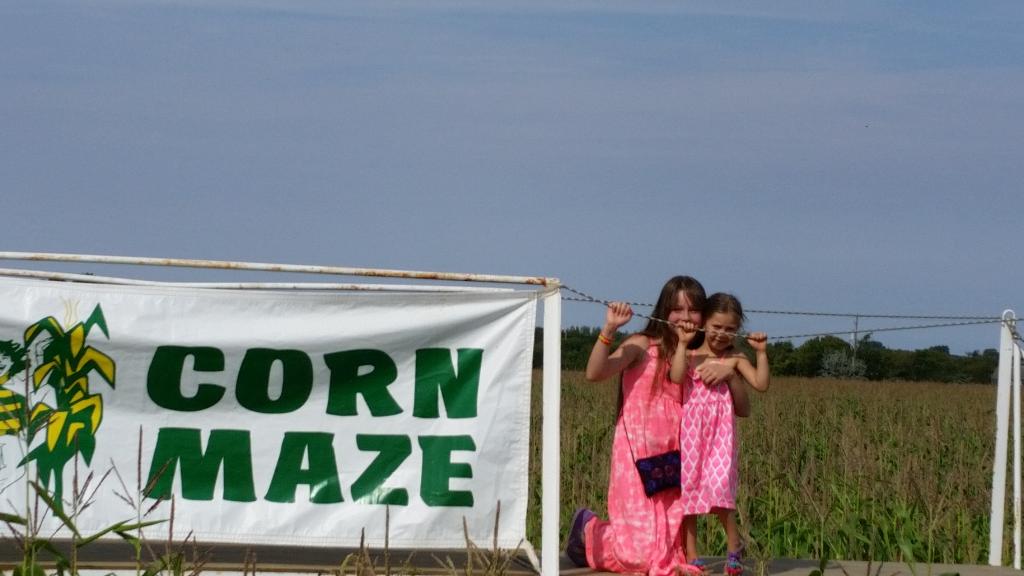 TylerWist1's tweet photo. Only lost one child and their mother at the #strawberryranch corn maze! It's #cornmazing! https://t.co/hvYCSTdqk9
