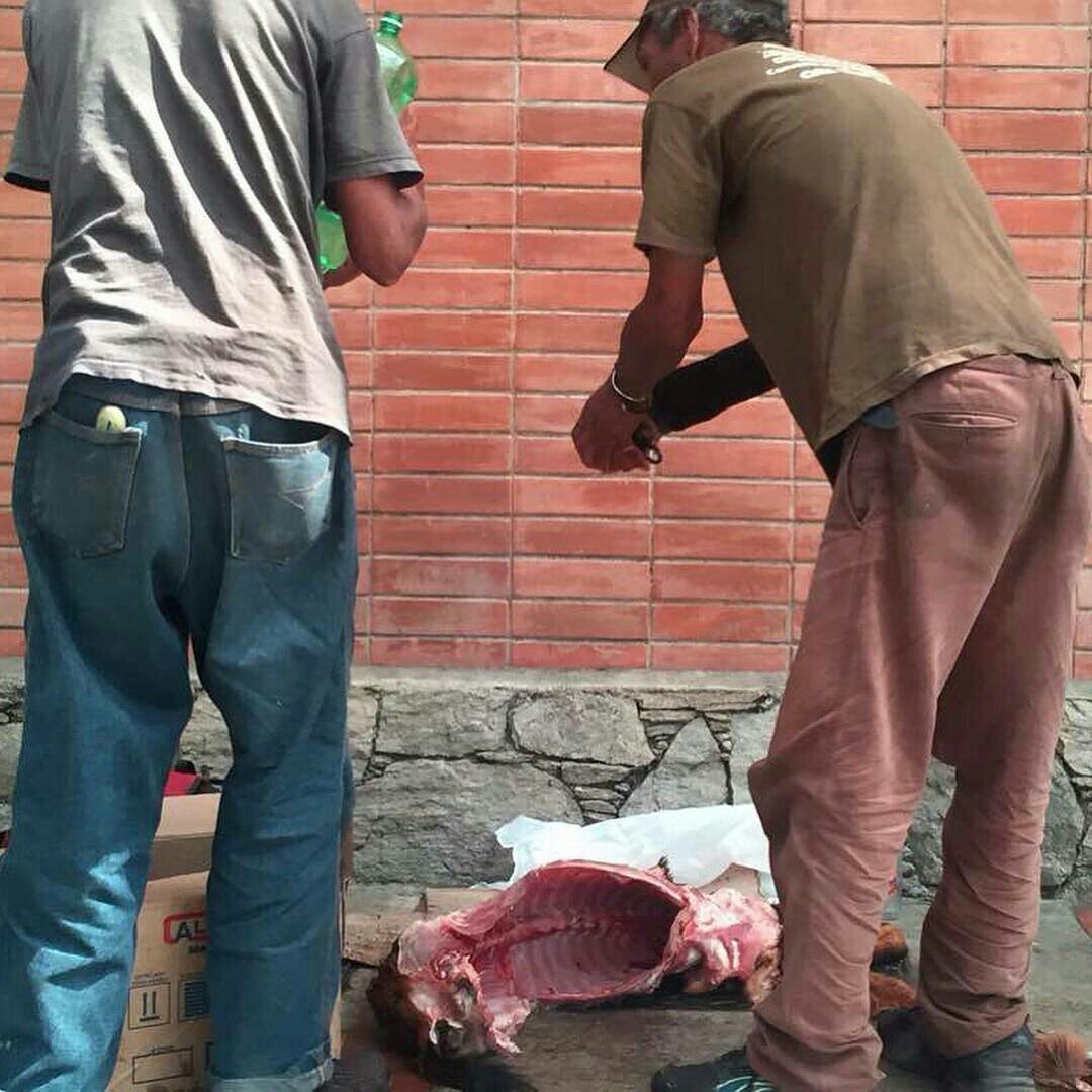 motum_magazine's tweet photo. Hoy en Quinta Crespo nos topamos con: dos hombres desollaban a un perro en plena vía pública. Eran mitos urbanos https://t.co/IE7KiFtvO8