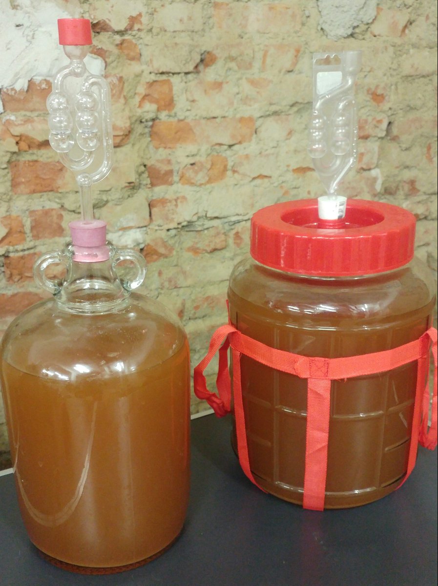 blamefinger's tweet image. An afternoon well spent. Fifteen litres of cider pressed from various windfall apples. Nice acid level at 5.25ppt.