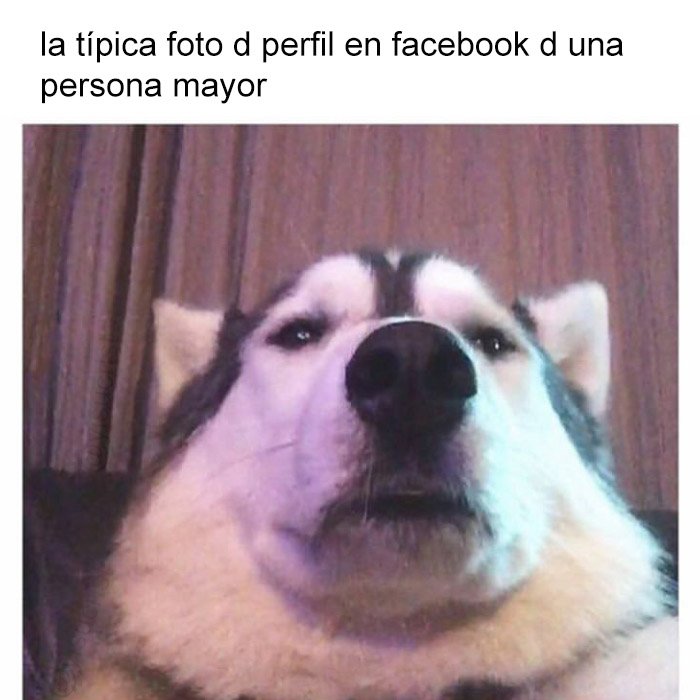 yisucrist's tweet photo. madurito interesante https://t.co/pNS8Q2vXWk