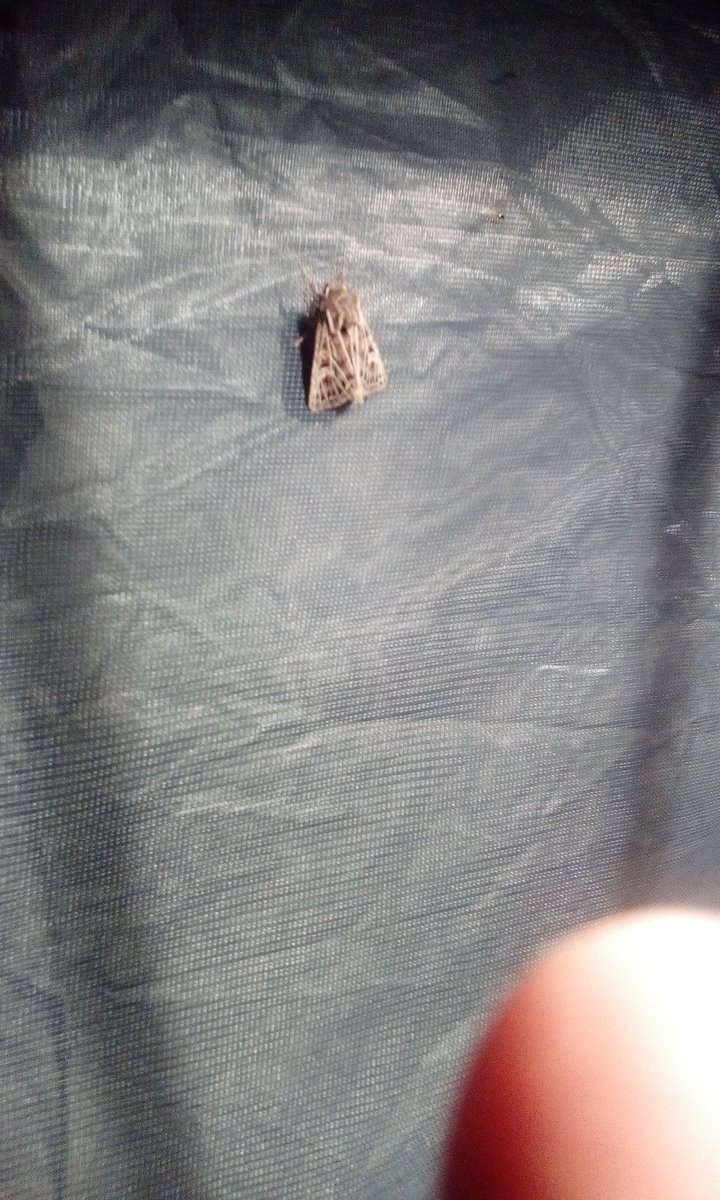 We think he might be called Arthur (or something like that)