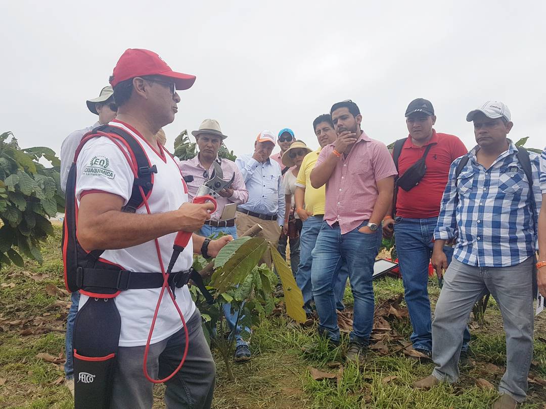 Anecacao_Ecu's tweet photo. Durante el Día de Campo del Congreso Técnico de Cacao en la hacienda La Bellita.
#CUMBREMUNDIALCACAO #anecacao #aprocafa #expoplaza https://t.co/J9tjWS8l7s