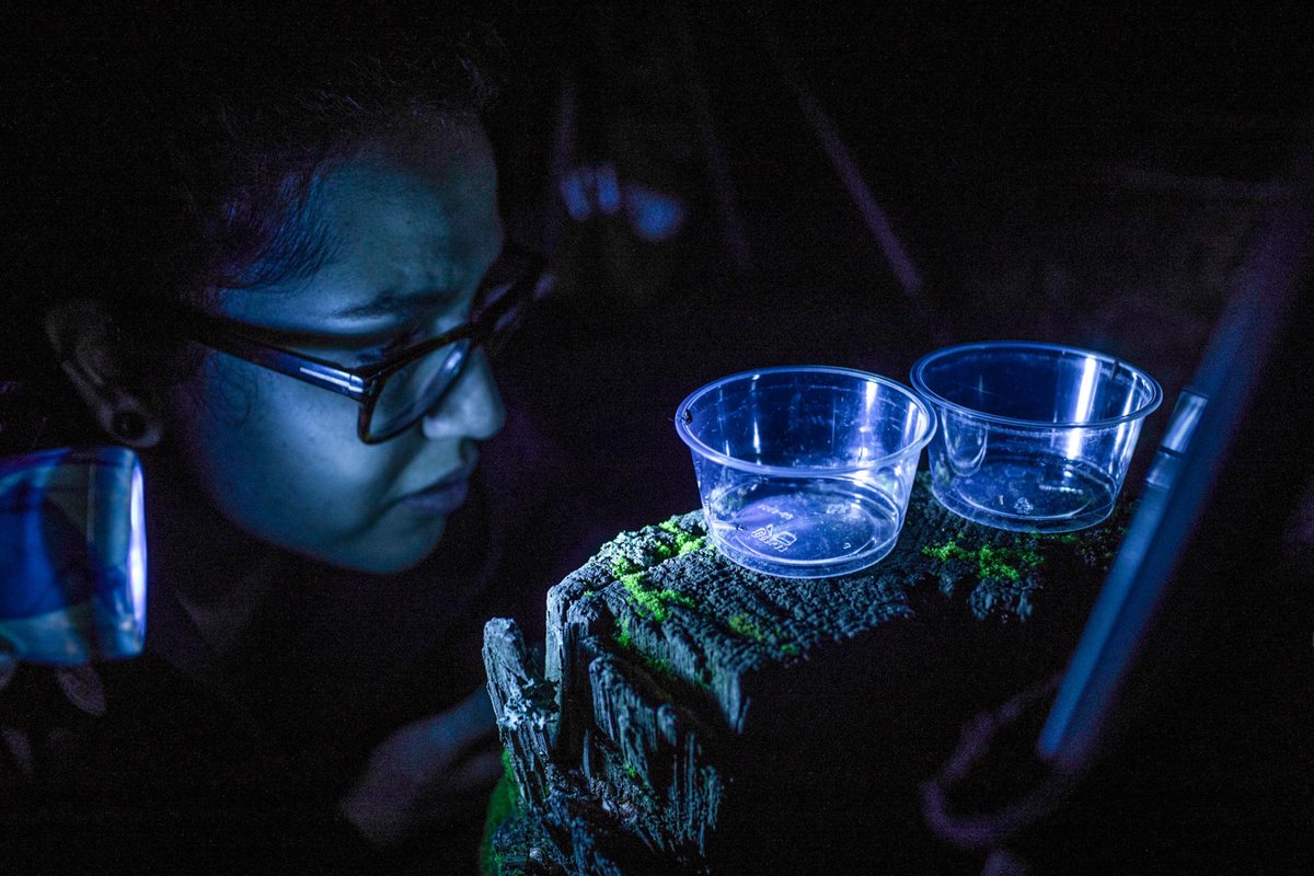 IllumenNate's tweet photo. @therealspins @picquendarrich1 @ihbrus09 @SOUNDS757 @devilrumor @Chilhon2016Lap @s_ylviia01 @PetersonBazza @MikeRandom1 For the #Firefly its your only Season! #LivinginLight 🔆🍃 https://t.co/PFZUdgxuRq