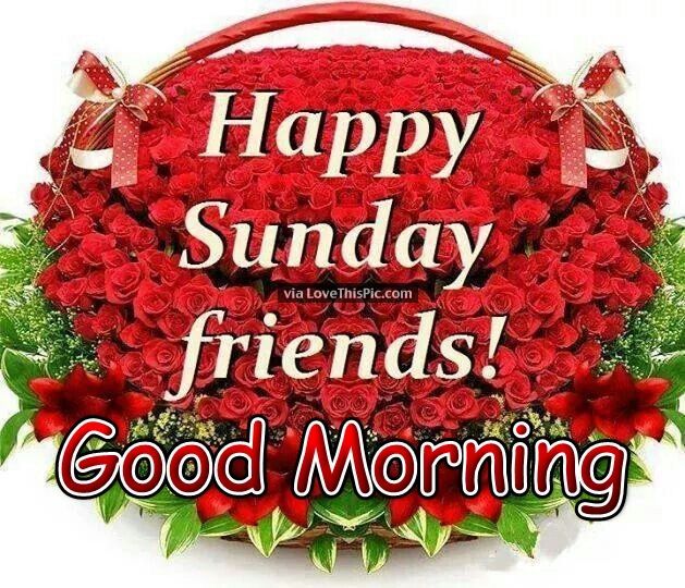 ranigill7's tweet photo. #GOODMORNING #WOW!!!!NEW DAY weekend 
#SUNDAY #3rdSEP
WELCOME 
#WISHING YOU ALL A WONDERFUL
#BE HAPPY 
#BE BLESSED 
#CHEERS https://t.co/pUfzy96xE3