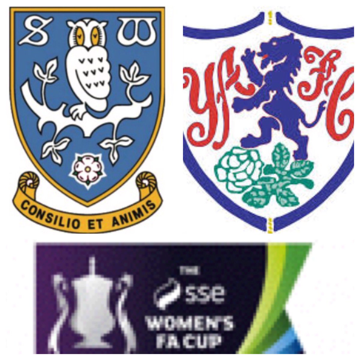 ShefWedLadies's tweet photo. Swlfc welcome @AmmasLady to Bawtry road tomorrow for the @SSEWomensFACup 1st round qualifier. 2pm ko all welcome. Good luck Owls! https://t.co/sBpq09tnws