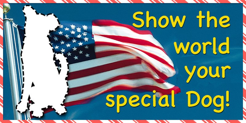 dogofthedaycom's tweet photo. Is your #festive dog ready for #LaborDay ? Nominate it for Dog of the Day! #pawsunite https://t.co/8oGrH6Er0D #RT #dogs #puppy https://t.co/1t0oQ3rn06
