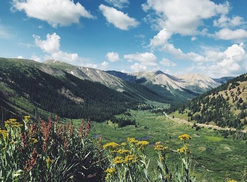 Going the extra mile is always worth the view. #colorfulcolorado #wildflowerseason