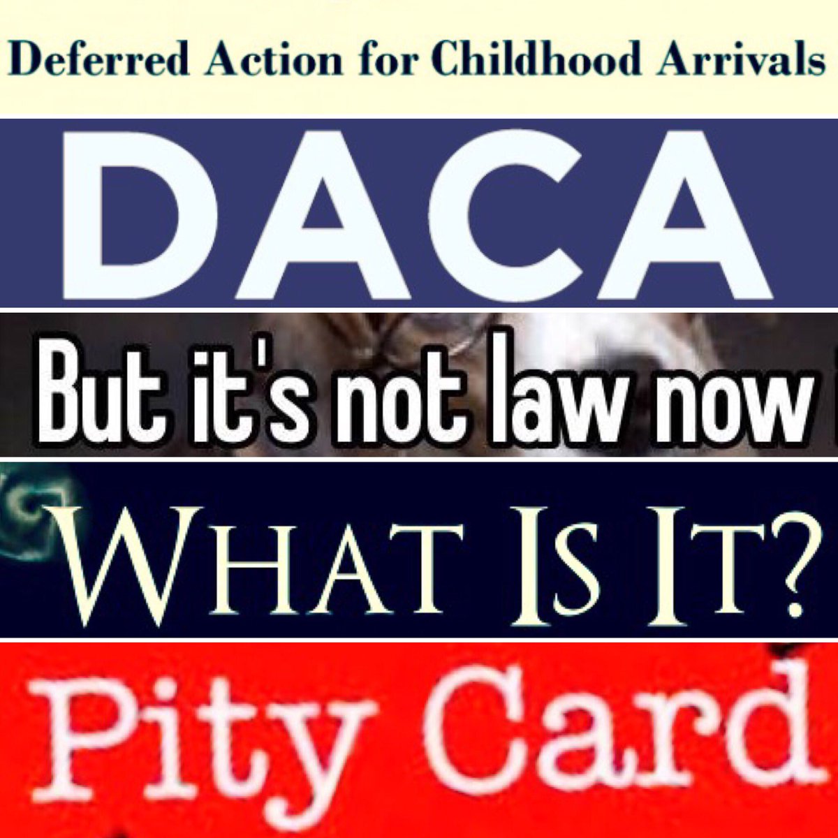 DJacksonNBRC's tweet photo. 👊🏻BOOM👊🏾CLAP👏🏻🕵🏼👏🏾🕵🏼‍♀️
(🎸CHARLI🥇XCX🎷@realDonaldTrump @AEI POTUS @VP #MAGA #DACAprogram @ChuckGrassley #TrumpLibrary @GOP #USA @Scotus @NFRW https://t.co/C8zAKFOcVF