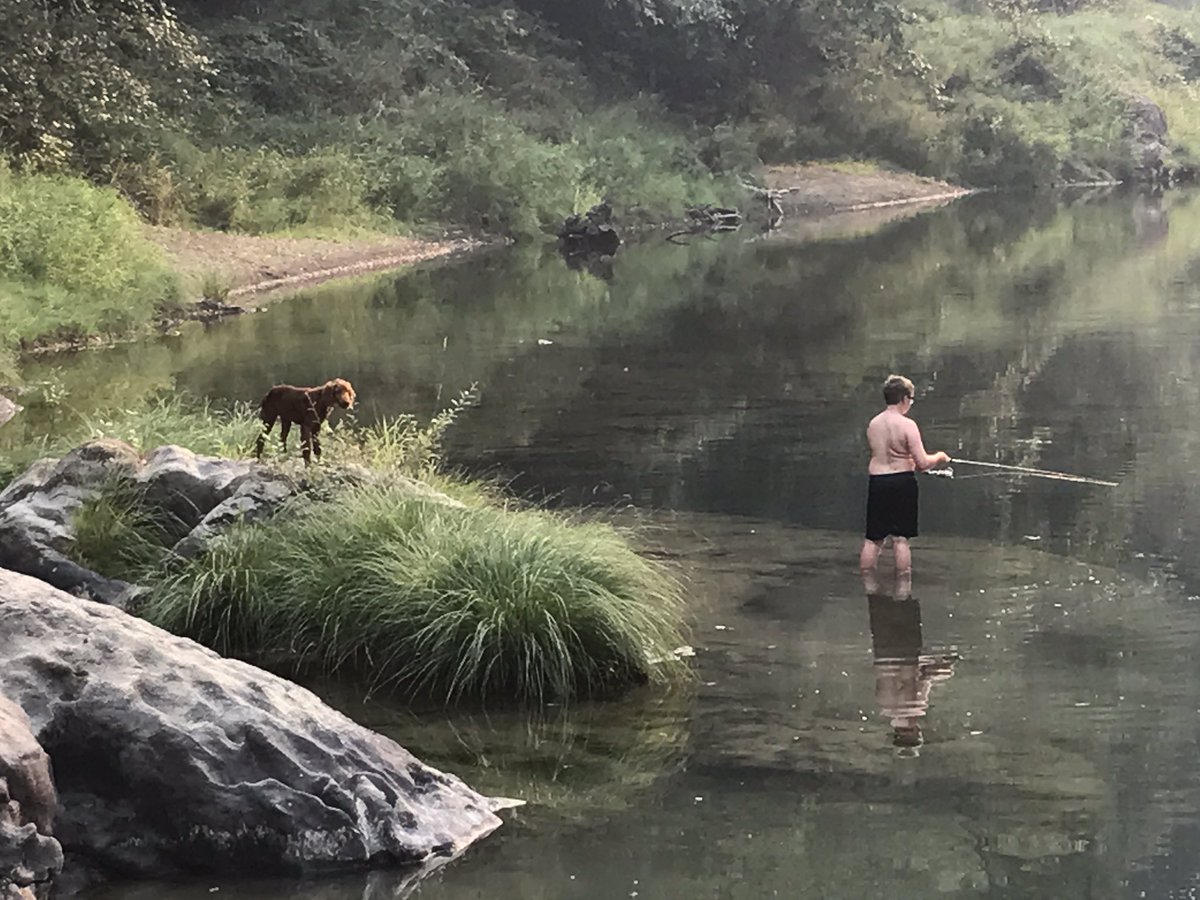 mattshorb's tweet image. My boy and his dog doing some #bassfishing.  Something classic about this picture... @KidsThatFish @ShimanoFishUSA @northangling