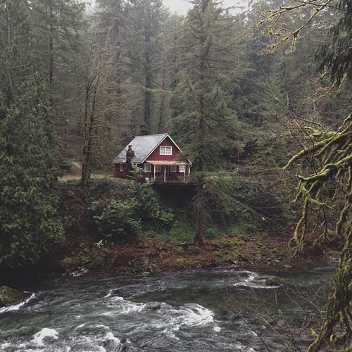 offthegridcabin's tweet photo. River house. https://t.co/M26YGo9Fbr