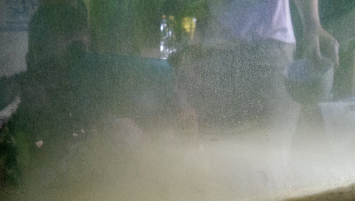SuffolkFish's tweet photo. Shit! #fishrule https://t.co/rzwNxxa7FN