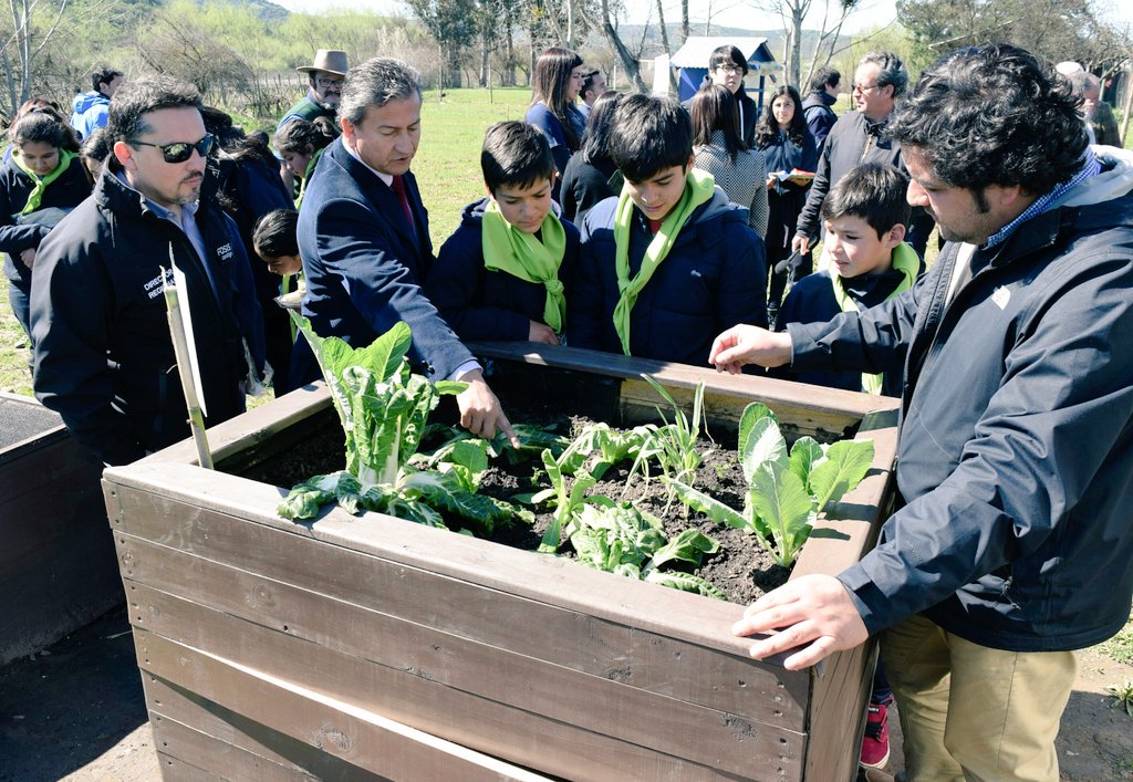 FOSIS_Maule's tweet photo. Alcalde @muni_sanjavier J. Silva destacó apoyo del Gobierno al fortalecer la formación escolar a través del Programa #ViveTuHuerto del FOSIS https://t.co/ItUP3Z6CQ0