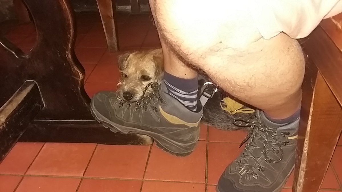 Rubyscout2's tweet photo. Bin avin luflee time in #castleton 12 mile walk yestadee, only 6 miles today! Iz pooped  #mamtor #losehill  #windyknoll #pubdog #windyears 😆 https://t.co/l97GDzCpRE