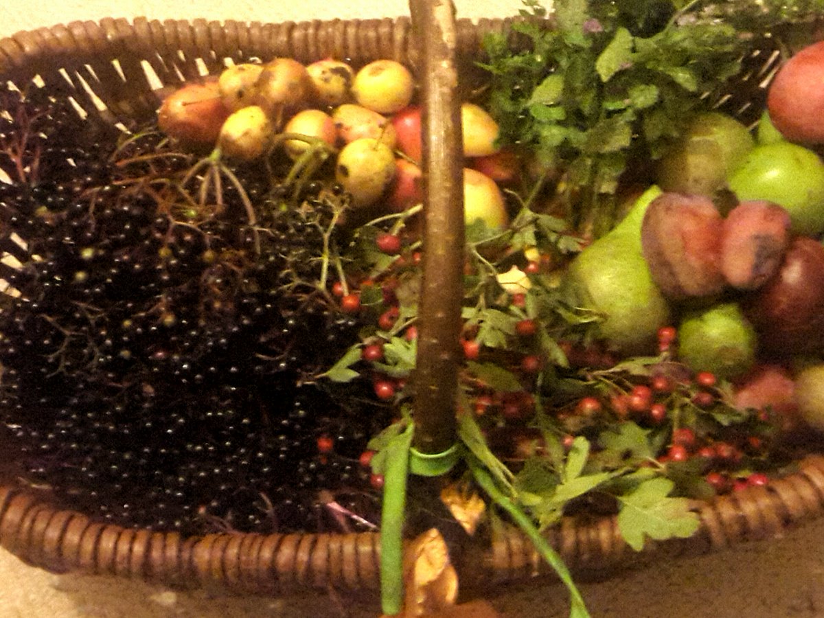 groweatgift's tweet photo. #FreeWeekendFun: 2) Go #foraging https://t.co/9AWhdks2ri