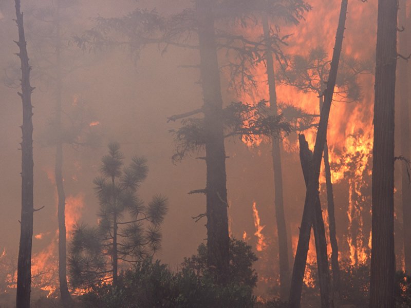 Some Still Staying in Pelican Narrows Despite Nearby Forest Fire dlvr.it/PkMlbl https://t.co/7CA6kti7iX