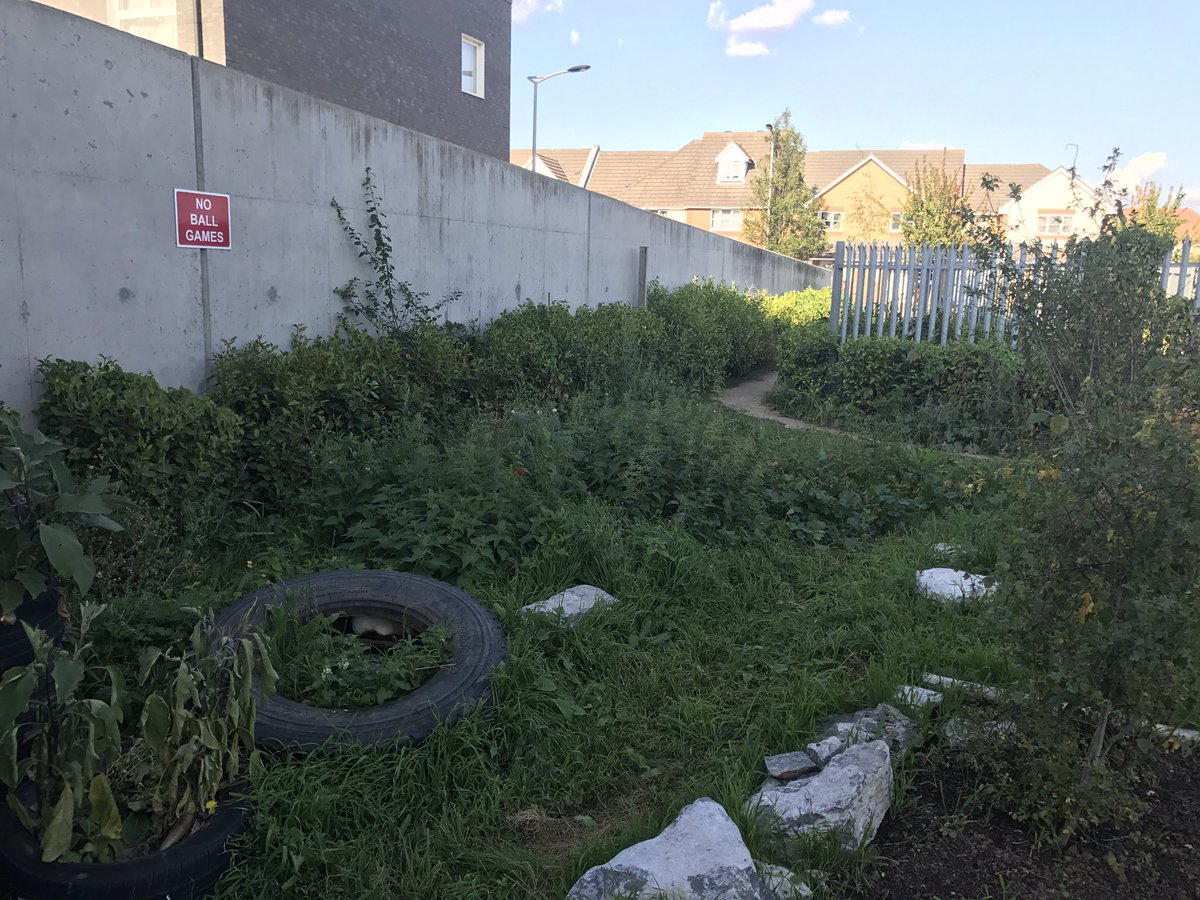 Riverside Garden tweet media