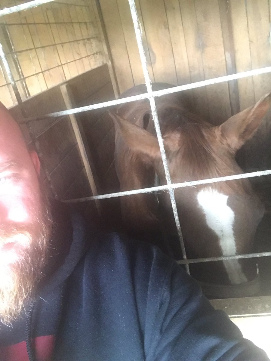 BrokenHalos24's tweet photo. Kicking it in the barn https://t.co/yras7fDLNz