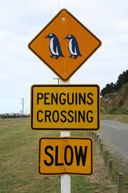 GetCarvi's tweet photo. Slow down, sir!
#roadsigns #funnyroadSign #car https://t.co/gFzuHlgNoU