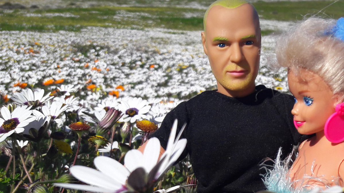 thingstodo_kids's tweet photo. Flowers are looking amazing @WestCoastRSA #Weskus - Samson took Barbie on a #roadtrip today #Spring #CapeWestCoast https://t.co/AYcDAk8YiD