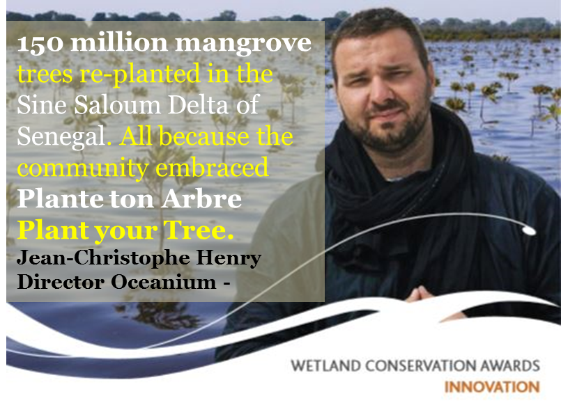 Retweet- Nominations Open: Award for Wetland Innovation, rewarding innovative techniques for wise use of #wetlands. bit.ly/2tLX12I