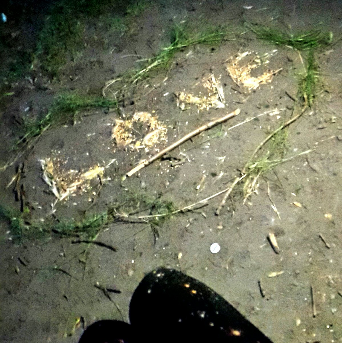 groweatgift's tweet photo. #FreeWeekendFun 5) Join #LoveNotLitter https://t.co/oZGhv0Sttt https://t.co/A45exhcDDt