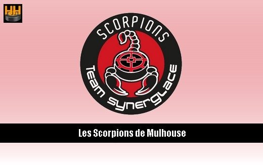 HockeyHebdo's tweet photo. #Transferts2017 Transferts: du changement à Mulhouse https://t.co/6mO8DeH1Bc https://t.co/Jc5TrQhYbQ