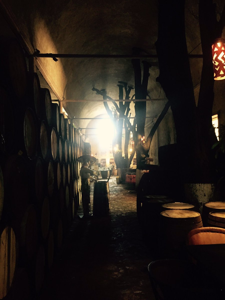 Feliz sábado <a href="/Alexjumper_/">Alex Jumper | Blogger de viajes</a> <a href="/frecuenciat/">Frecuencia Turística</a> <a href="/stereotrotamund/">erick larios</a> <a href="/periodistaMN/">MarianaNavarro</a> <a href="/COMCE_Occte/">COMCE de Occidente</a>