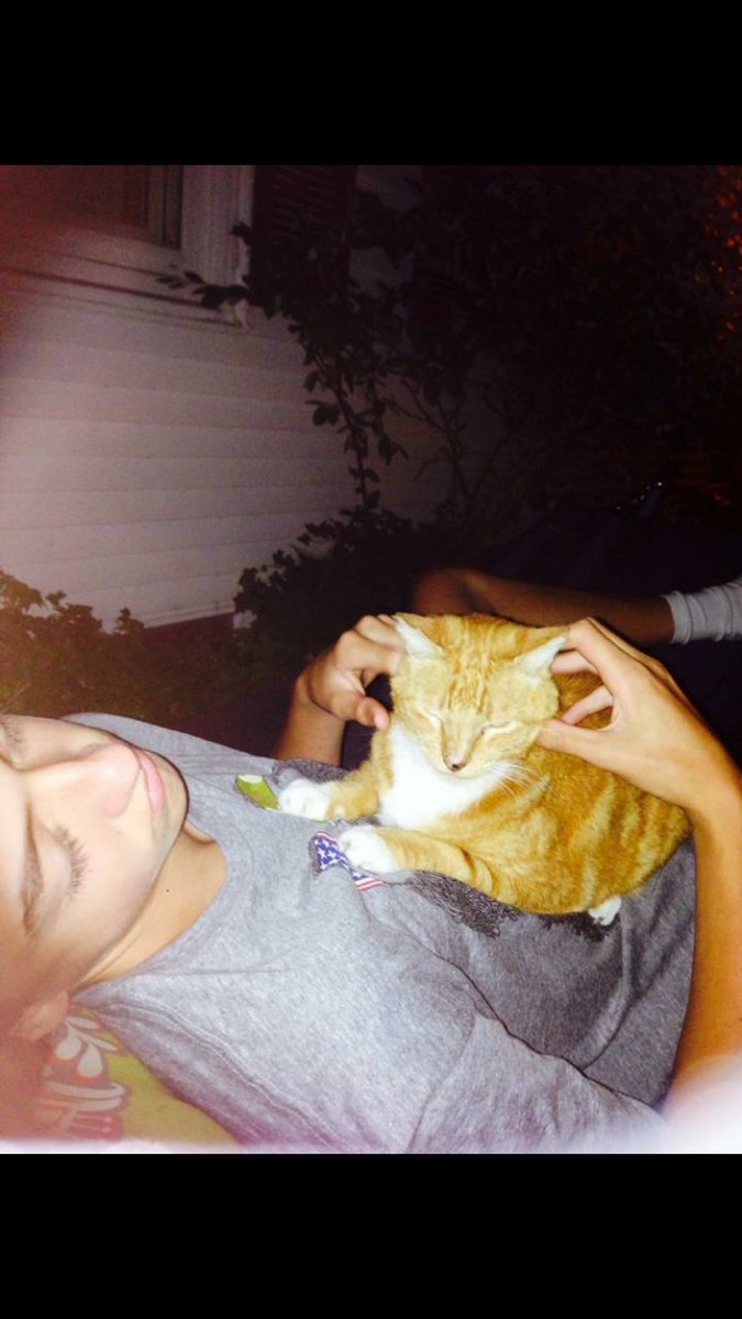 KehrBailey's tweet photo. After 20 years, my big kitty goes to sleep😞 Rest easy Grandpa Byz. https://t.co/5vCJMfCnZG