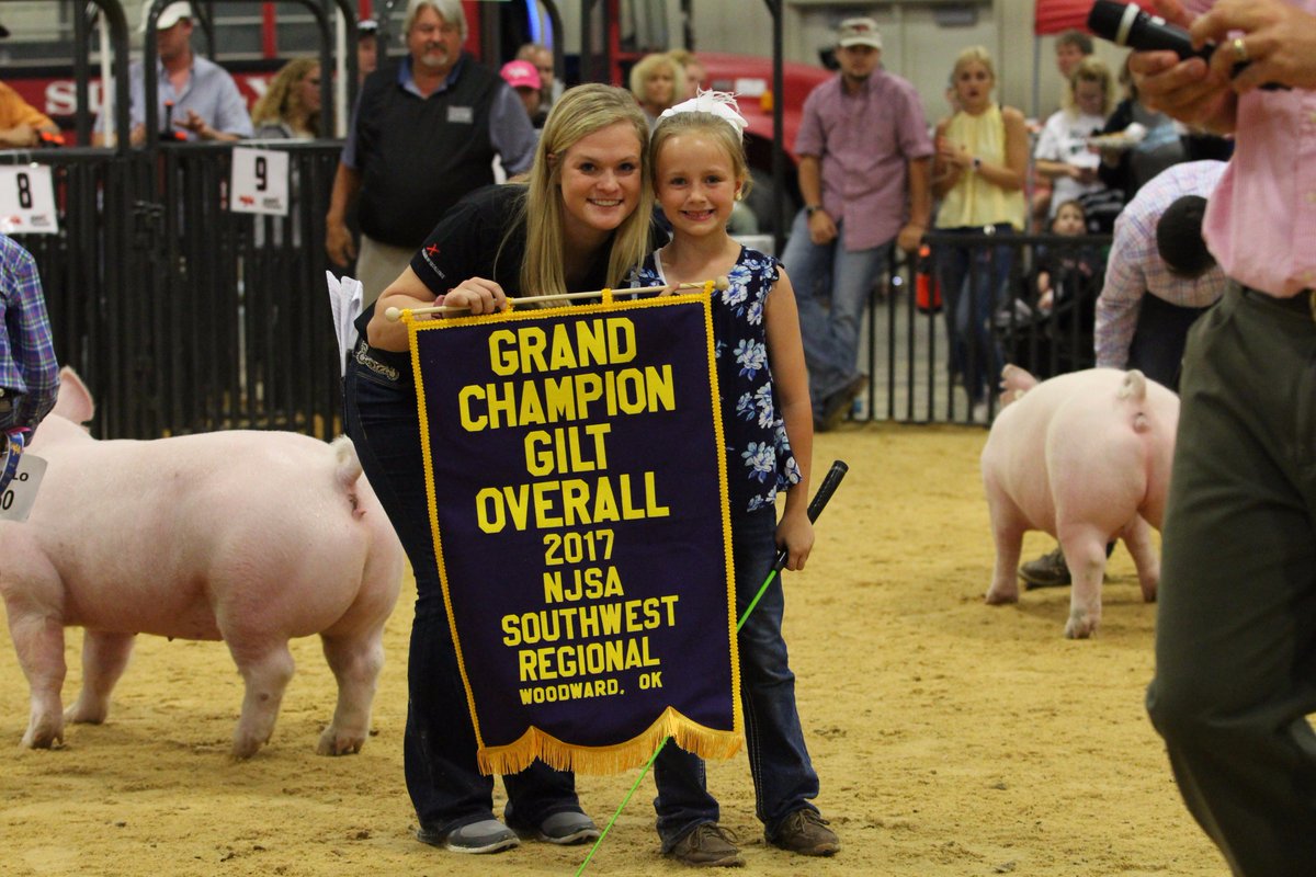 NationalSwine's tweet photo. Kinley Pruett's, Okla., Ch. Duroc Gilt was also selected Ch. Overall Purebred Gilt at #SWRegional17. More results at https://t.co/8uUdo3EUaD https://t.co/CT6pbnyDKh