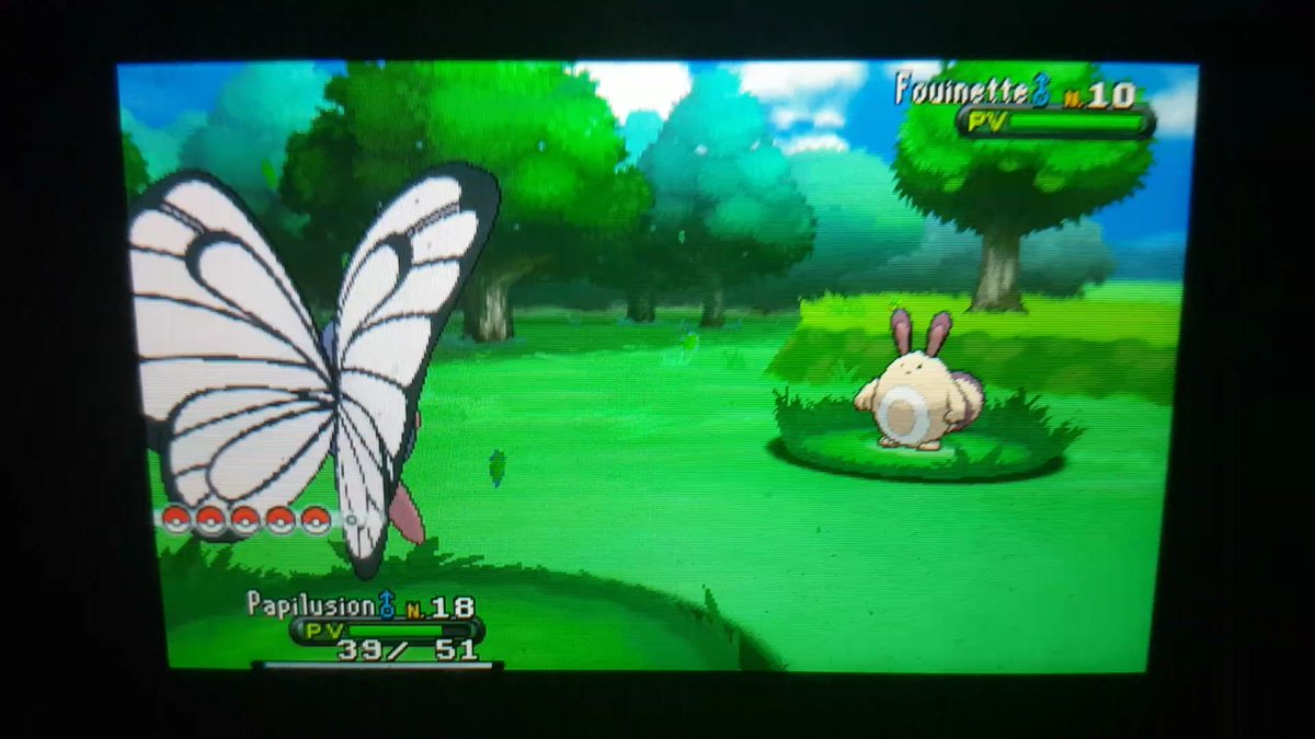 SHS0RA's tweet photo. OMGG shiny fouinette sur le SQ Y en 189 RE's #KroMatik #ToolsResort https://t.co/7p0NdA4byD