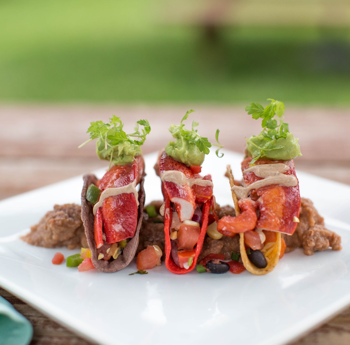 SH_SocialClub's tweet photo. The most decadent tacos you'll ever have 👌🌮 #socialclubsummer #dinner #foodporn #lobster #tacos https://t.co/BPF99wAmYt