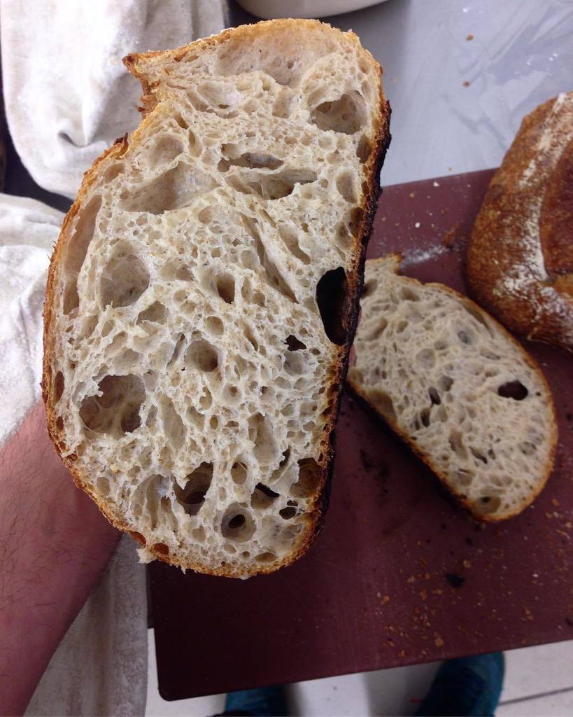 farrobakery's tweet photo. happy levain = happy fermentation #naturallyleavened #longfermented #paindetable https://t.co/ELG93brKGR https://t.co/Sob60qpCrp