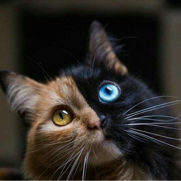 #НоваСнимкаНаПрофила