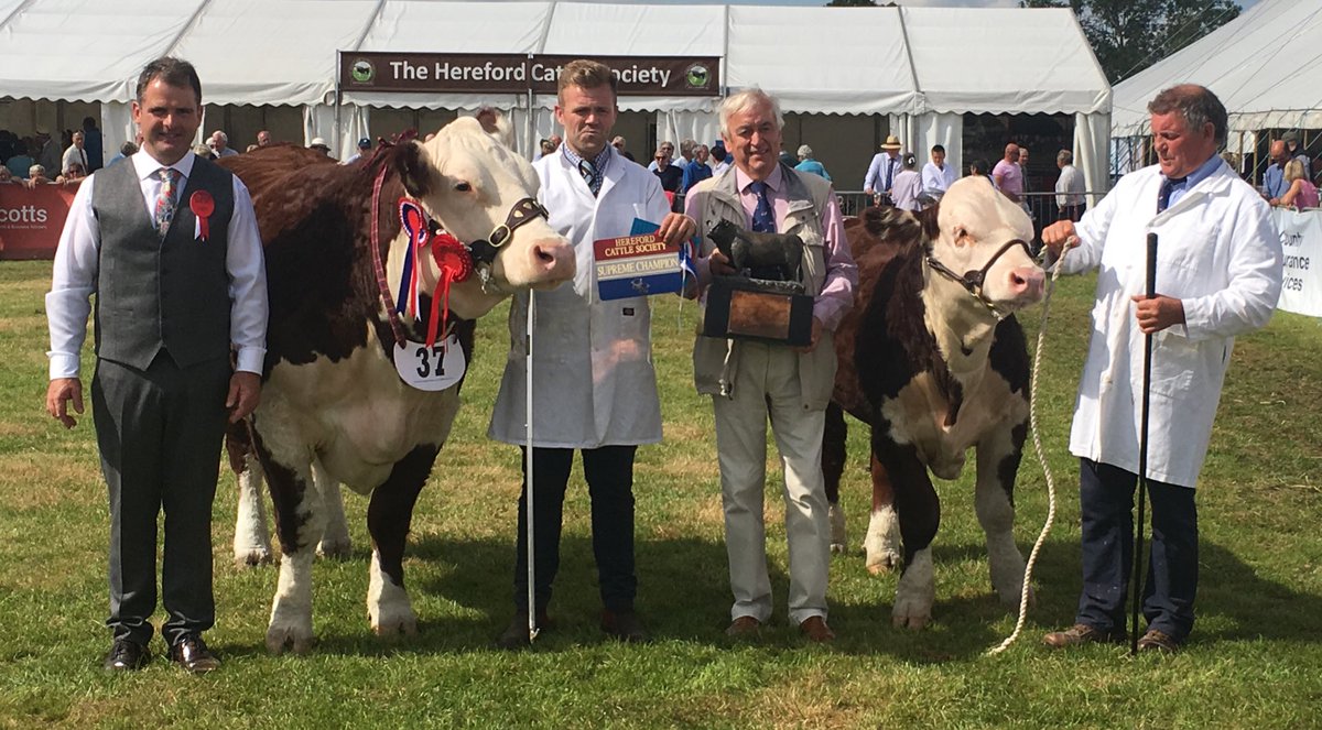 UKHerefords's tweet photo. The Supreme Championship goes to Dendor 1 Jennefer 15th from B Birch & G Brindley #pollherefords @MoretonShow https://t.co/rcC4XtkVtP