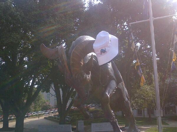 UBBULLS1's tweet photo. One week from today @UBFootball plays @ArmyWP_Football As usual the #UUBBulls will have the support of the @NavyAthletics goat #BeatArmy https://t.co/mwe7wPqhSj