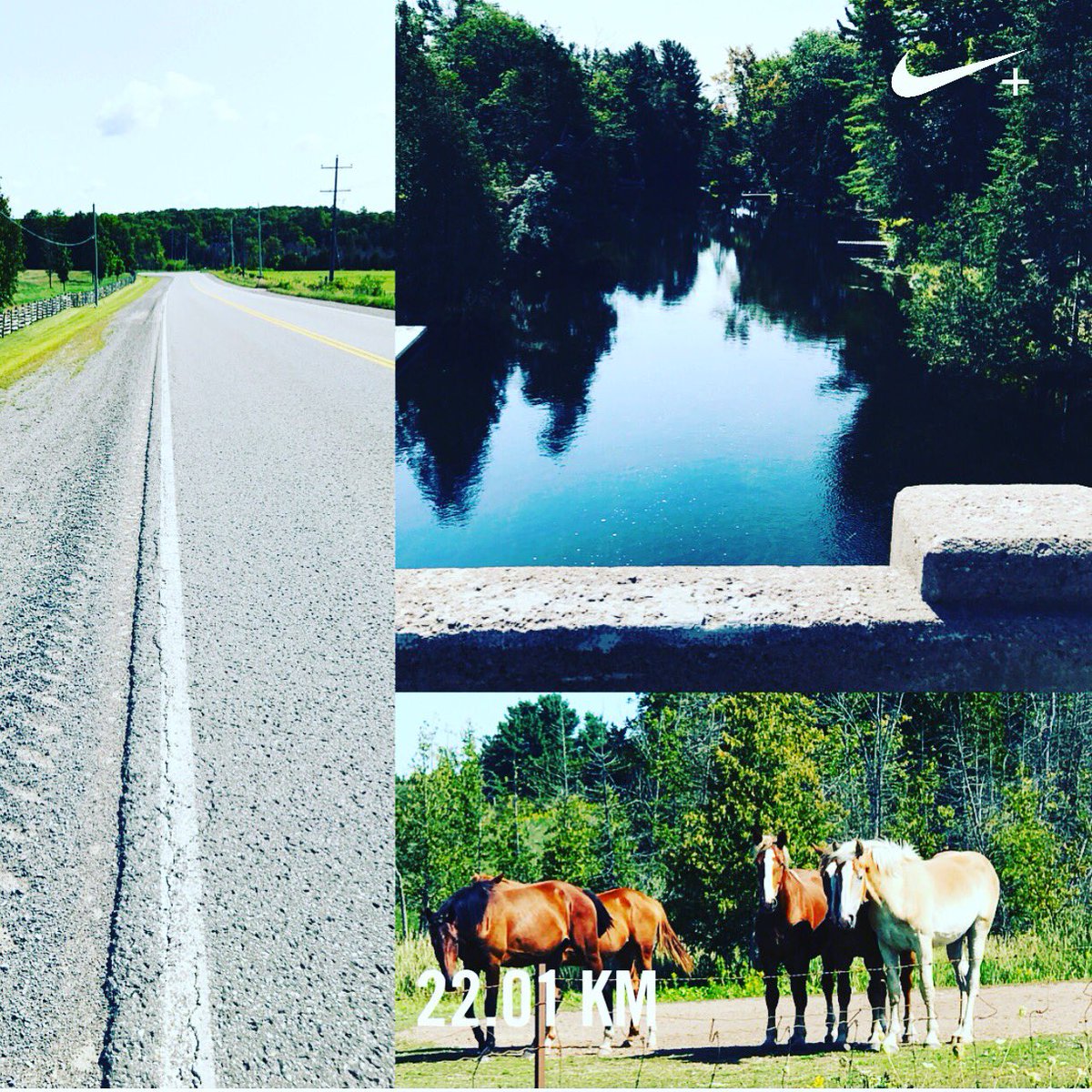 phoenixrallygal's tweet photo. Made the last cottage #run of the season count. #pb #halfready #training #running #NRC #stoneylake #highwayruns https://t.co/BPSKOa9uSW