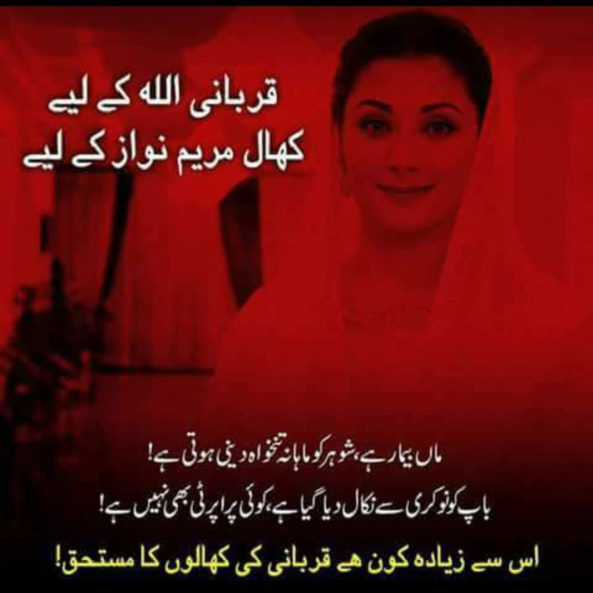 iamsaadiabaig's tweet photo. #EidulAdha https://t.co/ljVyKgUhwW