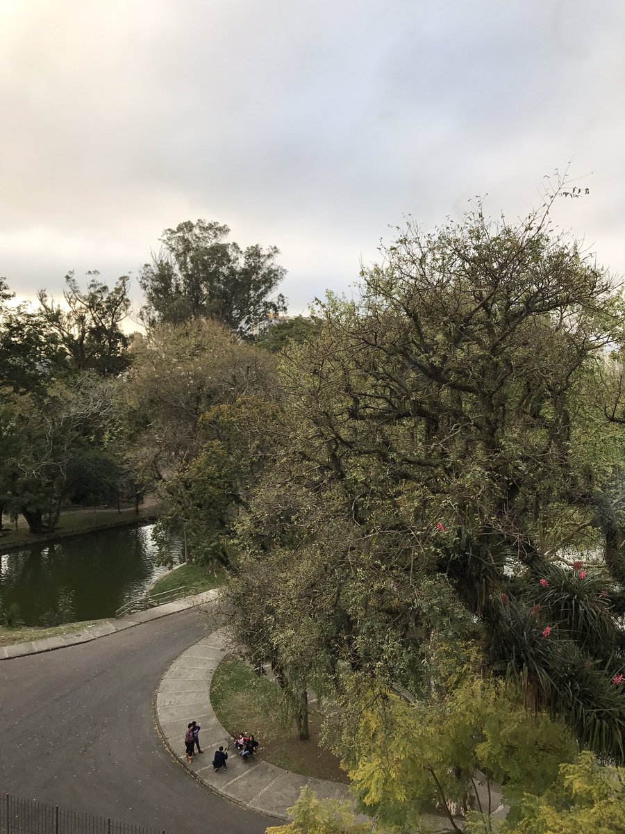 TheTimBeta's tweet photo. Curtindo a vista do parque.
Bom final de semana a todos os #timbetas.
•
#timbeta #timbetalab #rumoaoLab #rt #TimBetaAjudaTimBeta https://t.co/CGTL5DpPMT