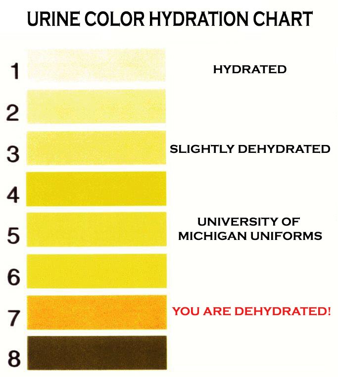 Urine Color Chart Amber