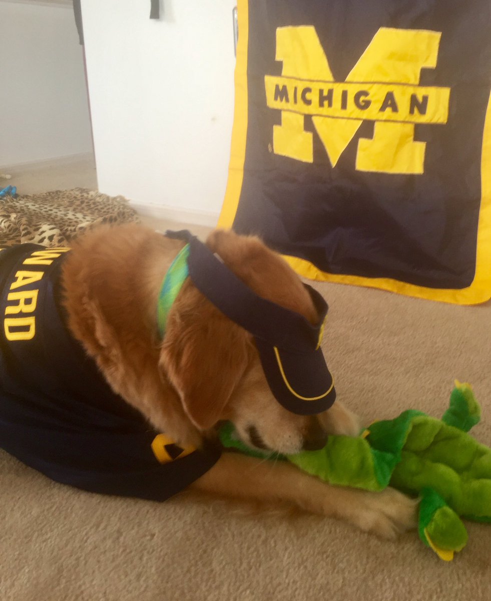 SmileCloudsUSA's tweet photo. #michigan #goblue #GameDay #MICHvsFLA #chompthis #flavsmich https://t.co/skOi4oXIxV