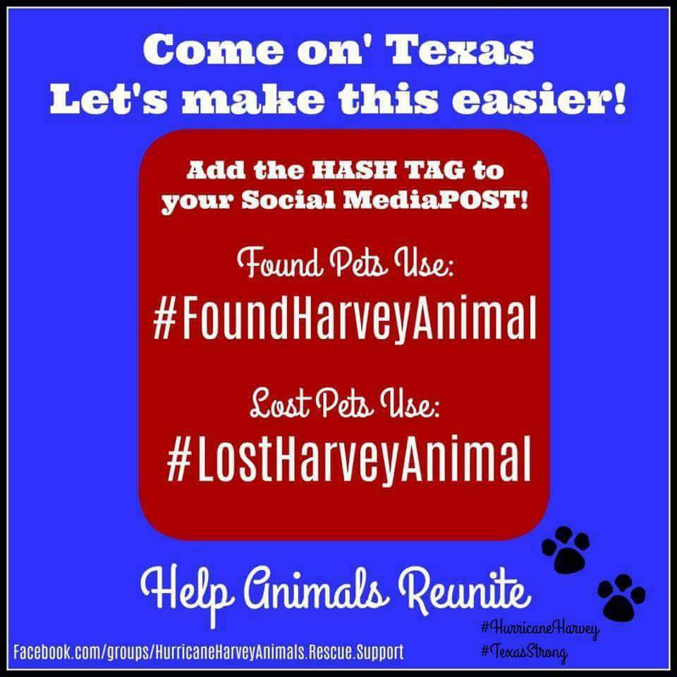 F_J_Thomas's tweet photo. #HurricaneHarveyRelief 

Share this far &amp; wide 
@OfficialRFDTV 
@PepperStewart 
@cowgirl19114 
@HorseHour 
@Ontherodeoroad https://t.co/i8286PQDcV