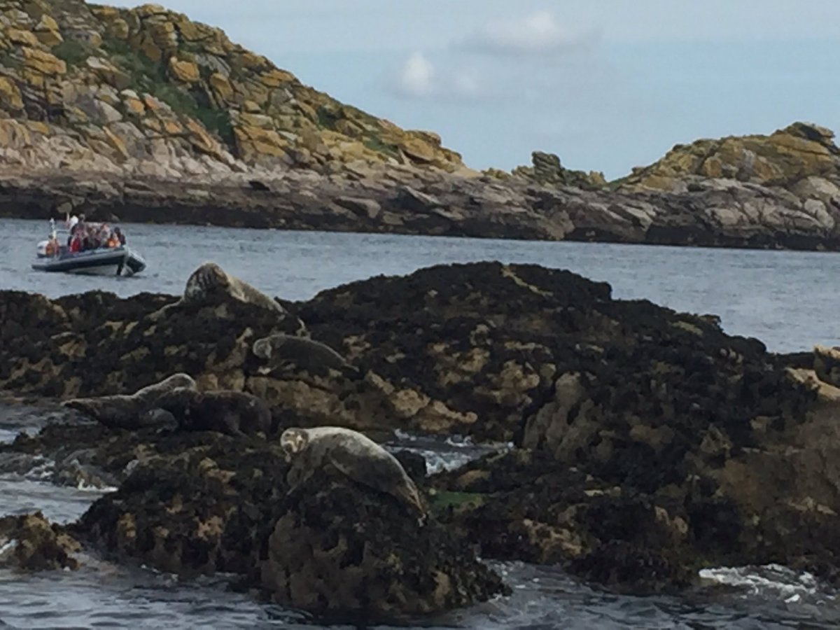 PremierSueMD's tweet photo. Saturday morning seals #Scilly Isles @PHTRADE1 https://t.co/lZyXSDgXWf