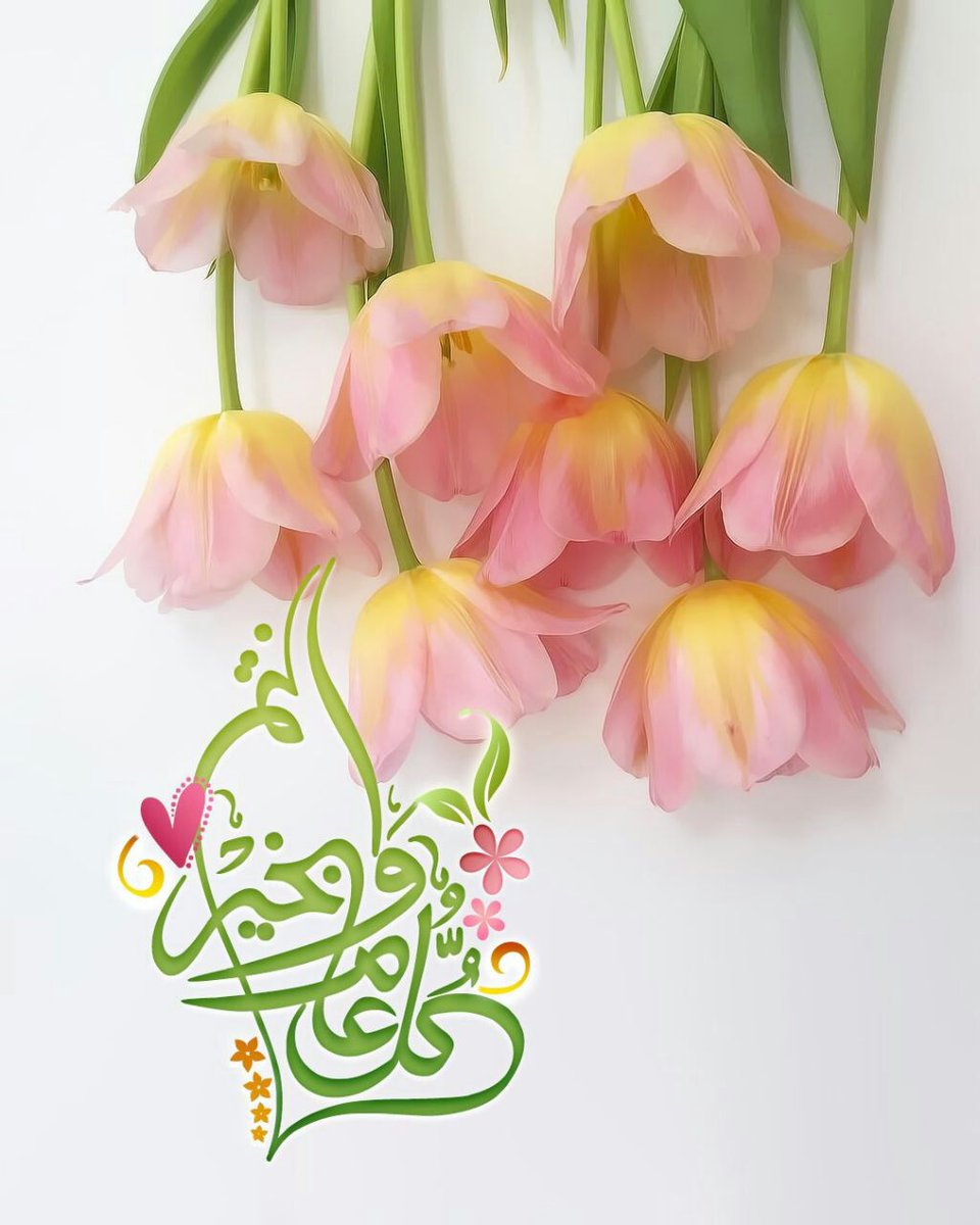 <a href="/mirage283/">Mohammed</a> <a href="/nona32841845/">فدك الزهراء</a> <a href="/rasheedtamer089/">الخاطرك</a> <a href="/nona171819/">فدك الزهراء</a> <a href="/red19851/">عطر الفردوس</a>