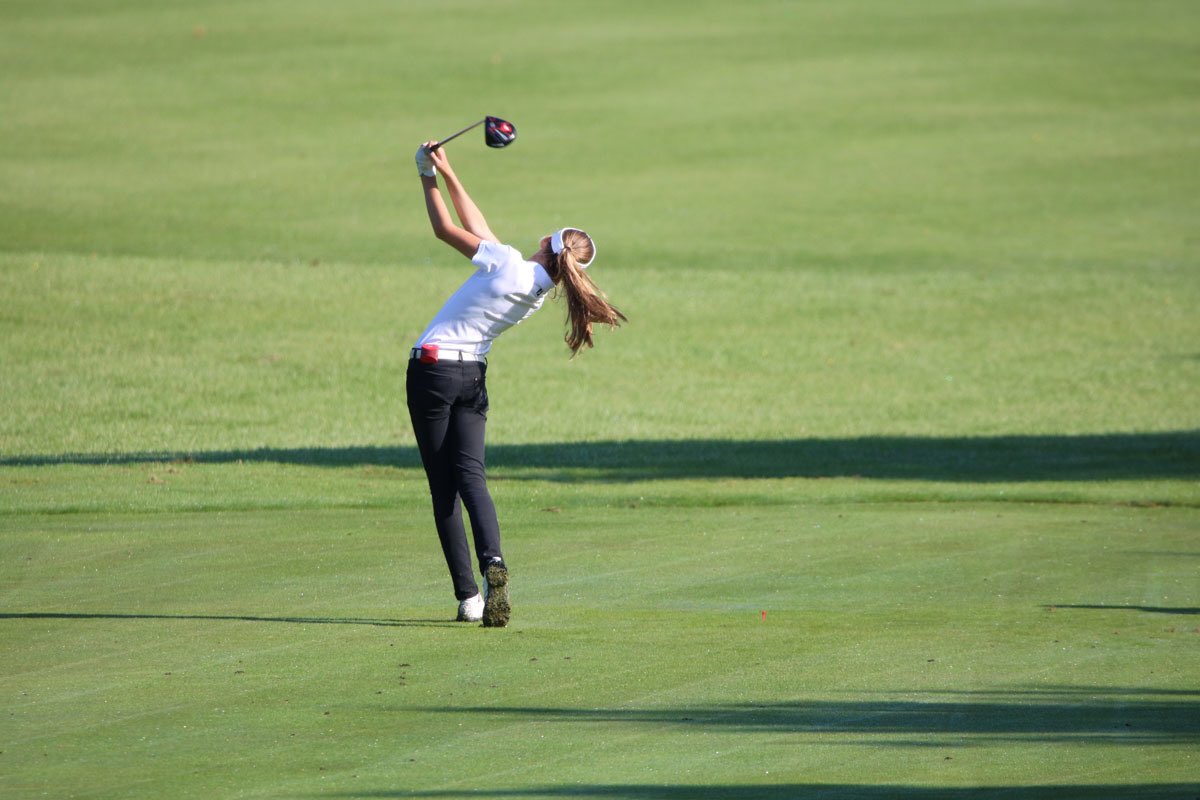 Noa van Beek tweet media