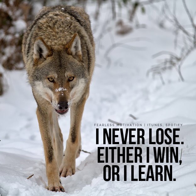 TMMcNatt's tweet photo. Let's win this ASTATE !! #RedWolves #AStateFB https://t.co/OV5UO393Gu