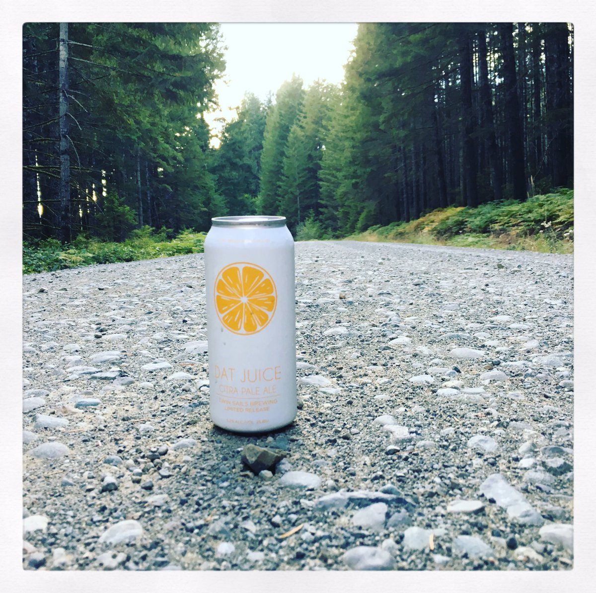 craftbrewjester's tweet image. Some #datjuice makes the old grey backroad that much more special @TwinSailsBeer #killingit #backroads #LabourDay