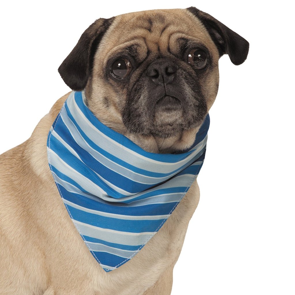 jenterprisesm's tweet photo. Pugs In Summer 10 tips to keep Your Pug Cool https://t.co/pnSOwvRCPi https://t.co/EnI7h23iOZ