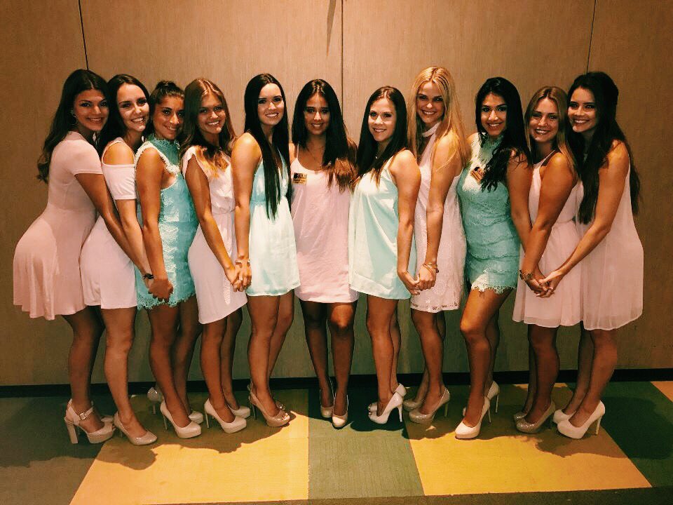 USF Alpha Delta Pi tweet media